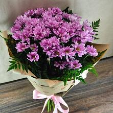 Букет цветов из:  Хризантемы #REPLACE_PRED# Таежный