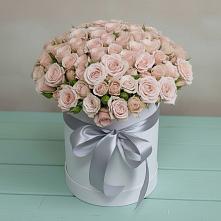 Цветочная композиция из Розы в шляпной коробке #REPLACE_PRED# Таежный