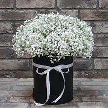 Цветочная композиция из Гипсофила в шляпной коробке в Таежный